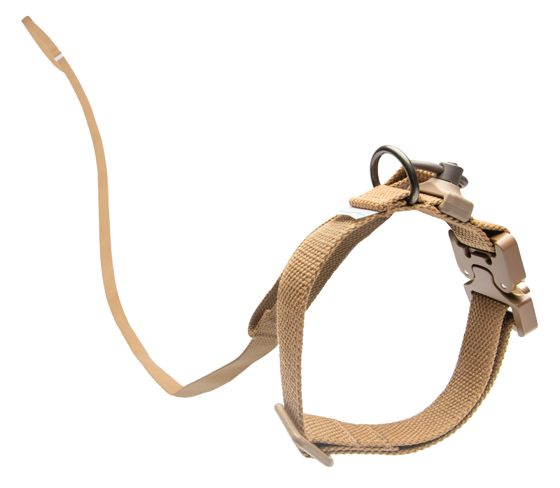 Leash and collar attached in brown